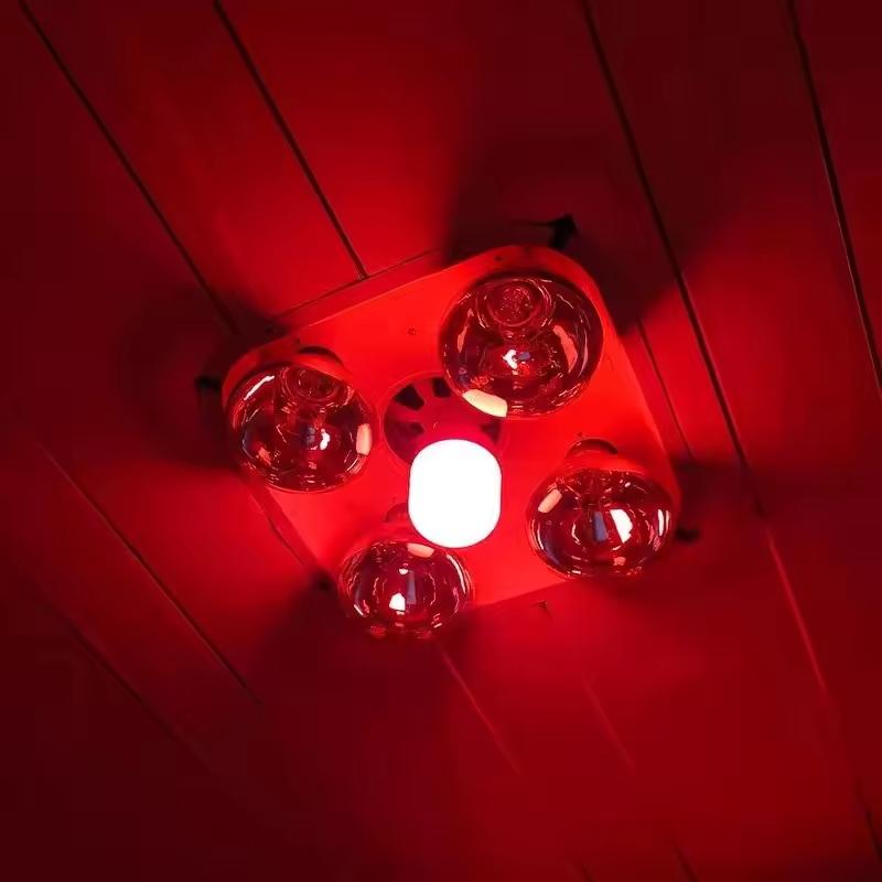 Outdoor Lighting Solar - New High Power Red LED Light