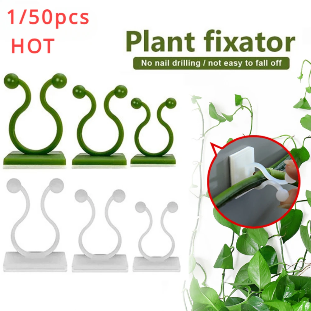 Outdoor Lighting Traditional - 1/30/50Pcs For Garden Accsesories Plant Garden