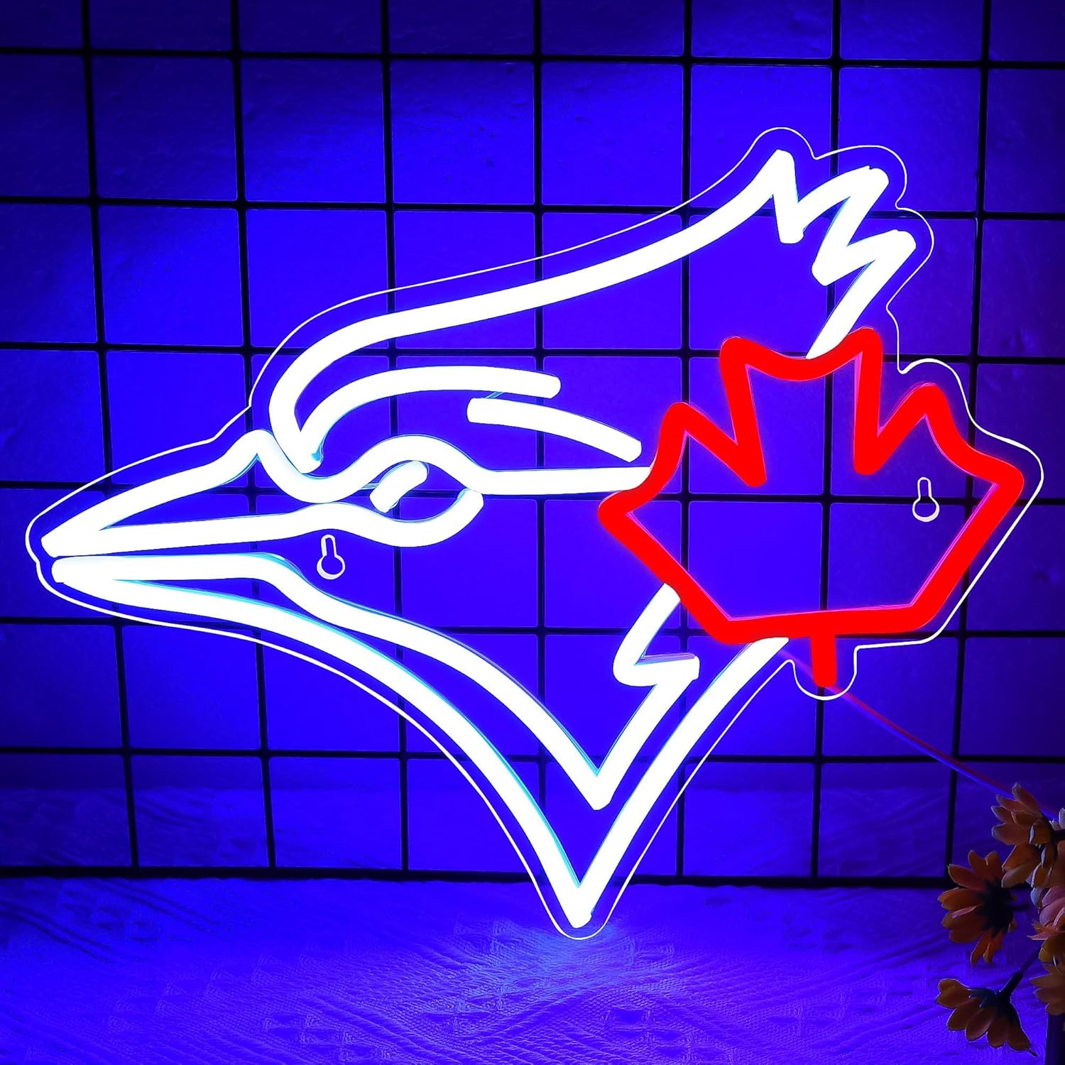 USB Dimmable Blue Jay with Map - đánh giá và giá Outdoor Lighting Canada