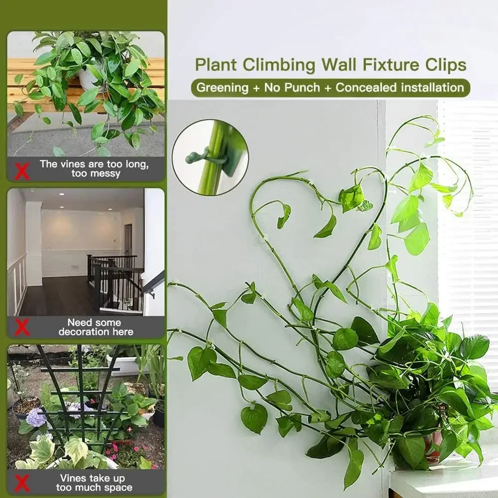 1/30/50Pcs For Garden Accsesor - đánh giá và giá Outdoor Lighting Traditional